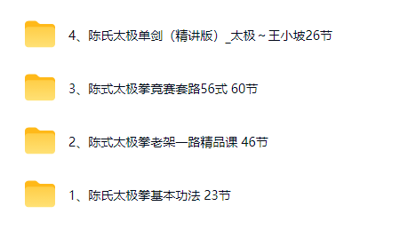 王小坡陈氏太极拳56式合集完整教学视频