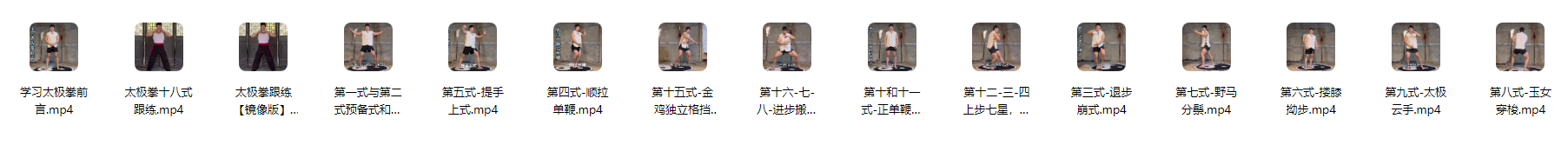 武当太极十八式完整版教学视频