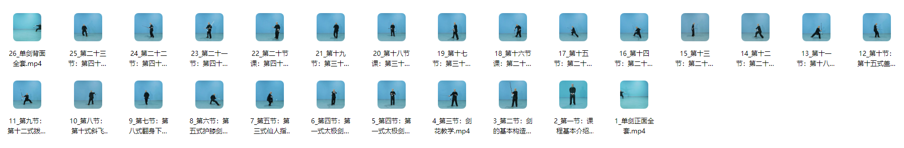 陈氏太极单剑精讲版(26节)